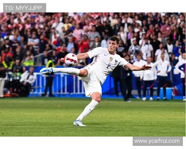 法国对阵爱尔兰比赛分析及大小球投注策略探讨